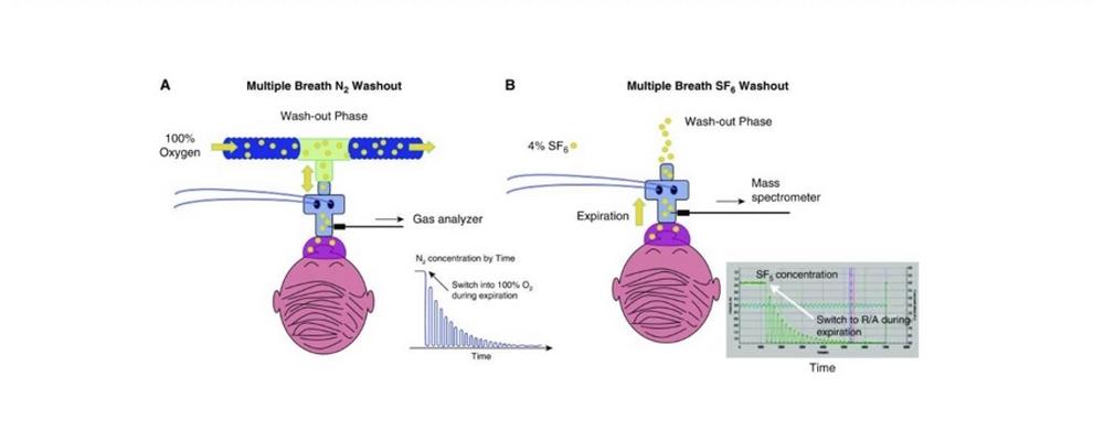 Illustration över Schematisk översikt av proceduren "Multiple breath washout"  med användning av kväve (vänster bild) och svavelhexafluorid (SF6) som en inert gas (höger bild).