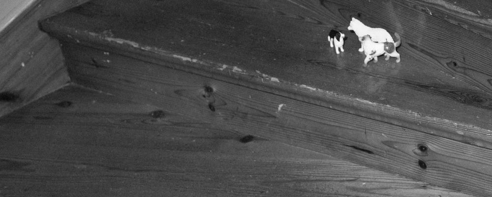 konstnärlig bild föreställande leksakshundar på trappa