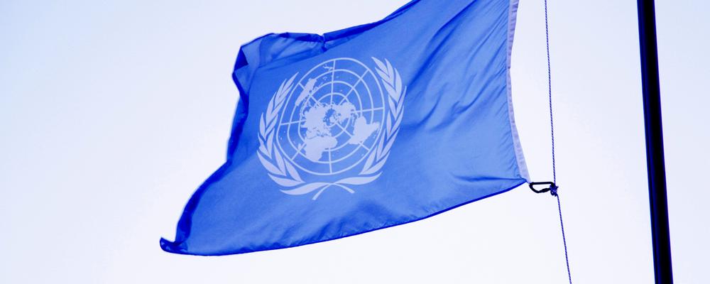 FN-flagga