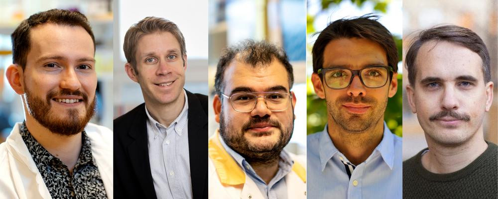 Portrait pictures of five researchers