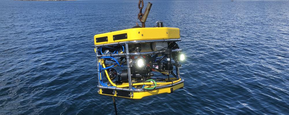 En gulmålad undervattensfarkost fotograferad efter dyk