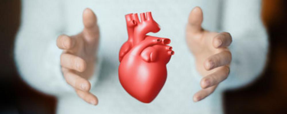 Genre image of human heart
