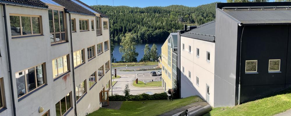 Summer picture from Steneby with green grass and views of lake.