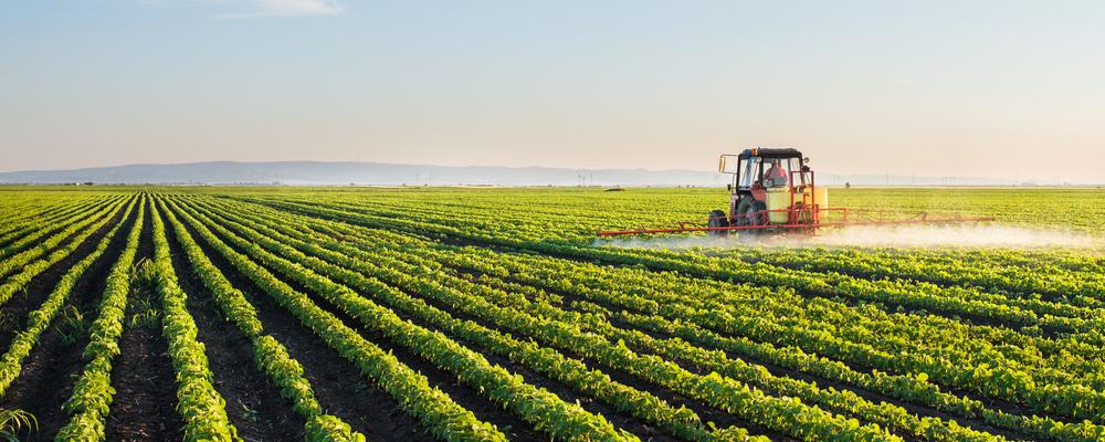En traktor besprutar ett fält med sojabönor