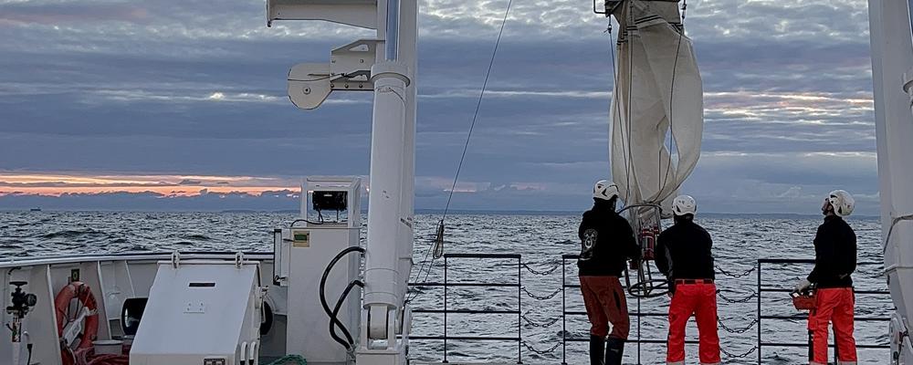 Tre personer står på däck på ett fartyg och tar vattenprover.