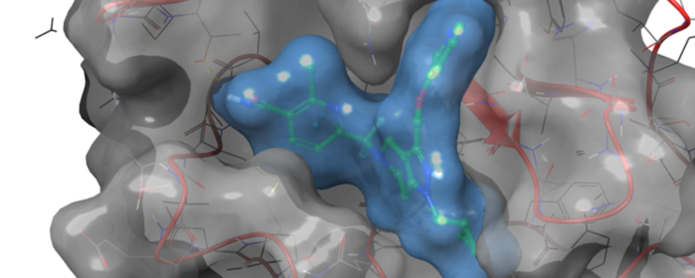 Bilden visar en illustration av en molekyl som fäster i ett protein.