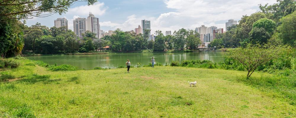 Bild på en park i Sao Paolo med höghus i bakgrunden