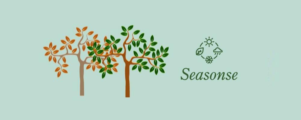 The seasonse app logo