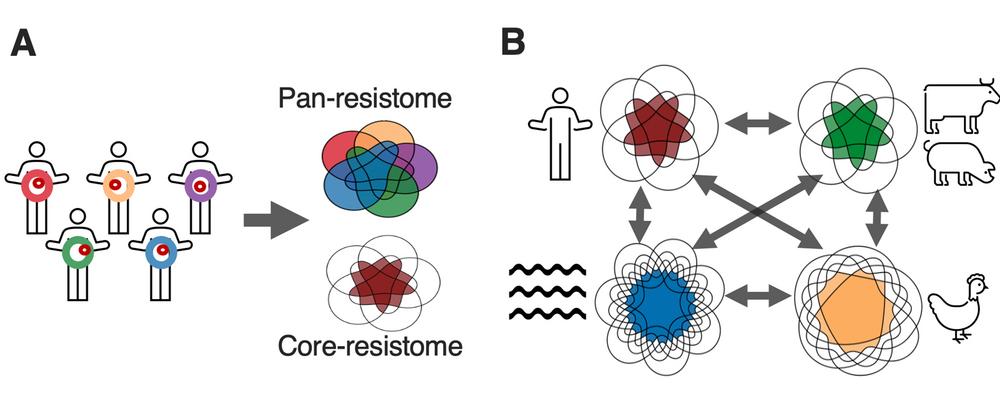 Figure of antibiotic resistance genes in different environments