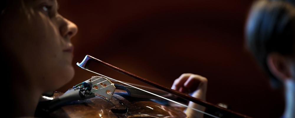 Violinist in profile