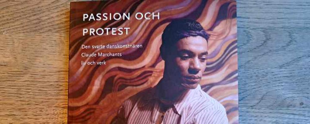 Passion och protest (Makadam 20234) av Astrid von Rosen & Bo Westerholm