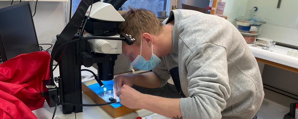 student Christian Nilsson at microscope