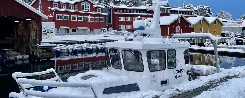 Båtar och röda byggnader i snö.