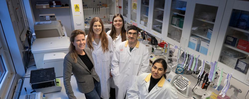 Foto på forskarna på Njurforskningslaboratoriet