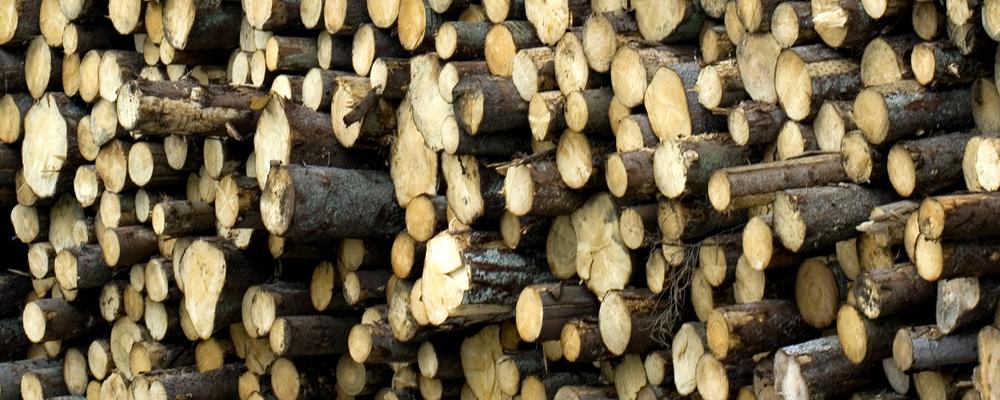Picture of a heap of timber