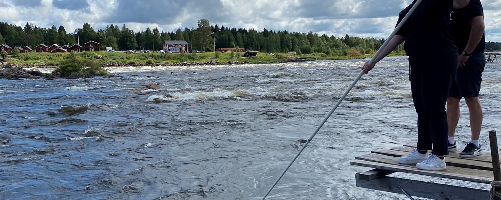 forskarlunch om mat och kulturarv