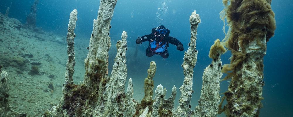 Mineralpelare på havets botten