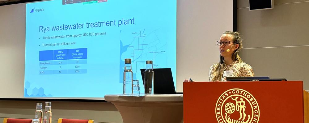 susanne tumlin håller presentation 