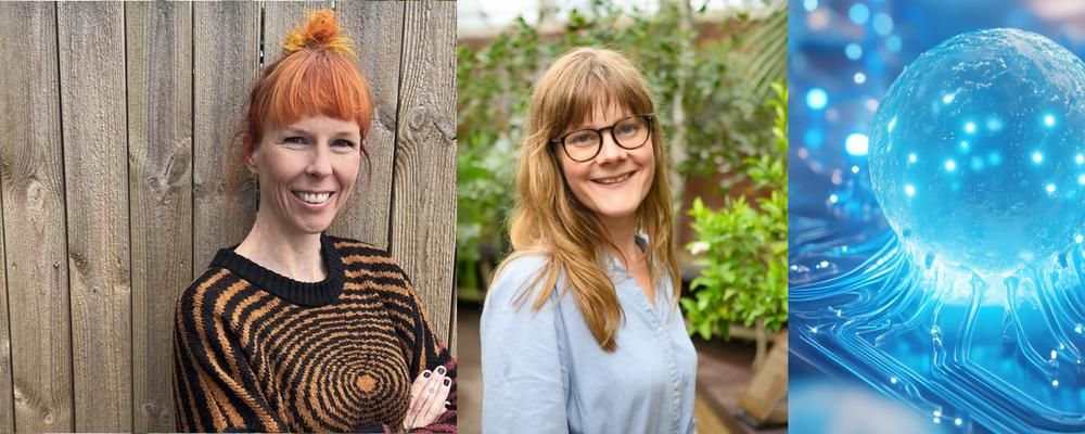 Astrid von Mentzer och Kaisa Thorell är de två senaste forskningsledarna på GU som blir del av det nationella Data-driven Life Science-programmet.