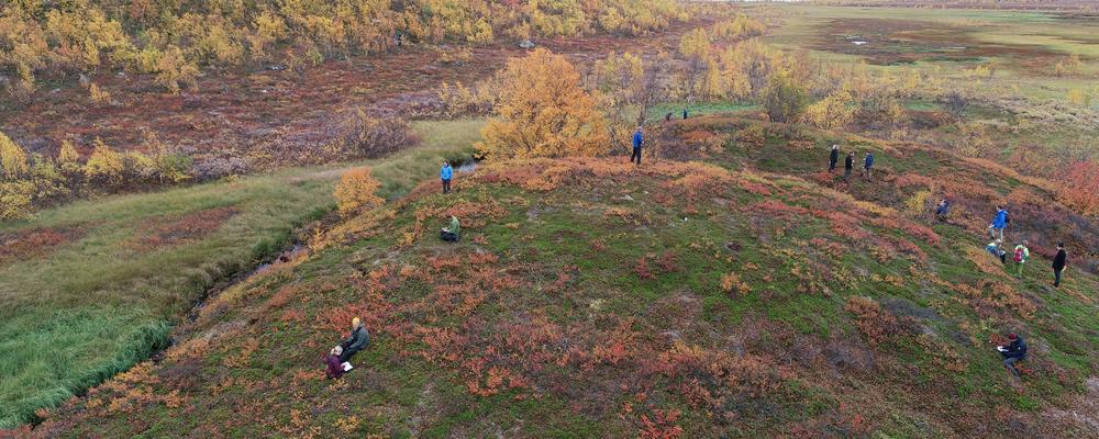 Studenter på exkursion i fjällen