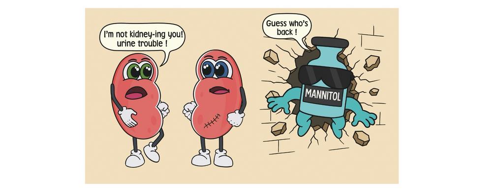 Cover illustration a drawing: To understand how a sick kidney works, you must measure it. Mannitol is a simple and safe way to do just that. By ICU colleague Anders Green—who often surprises us with clever cartoons and caricatures on the whiteboard in our