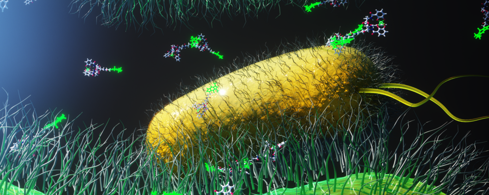 a 3d renderd picture of bacteria with molecules from drugs surrounding it