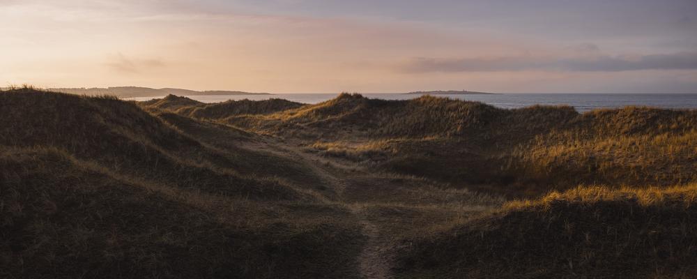 Foto på sanddyner vid havet i Halland.