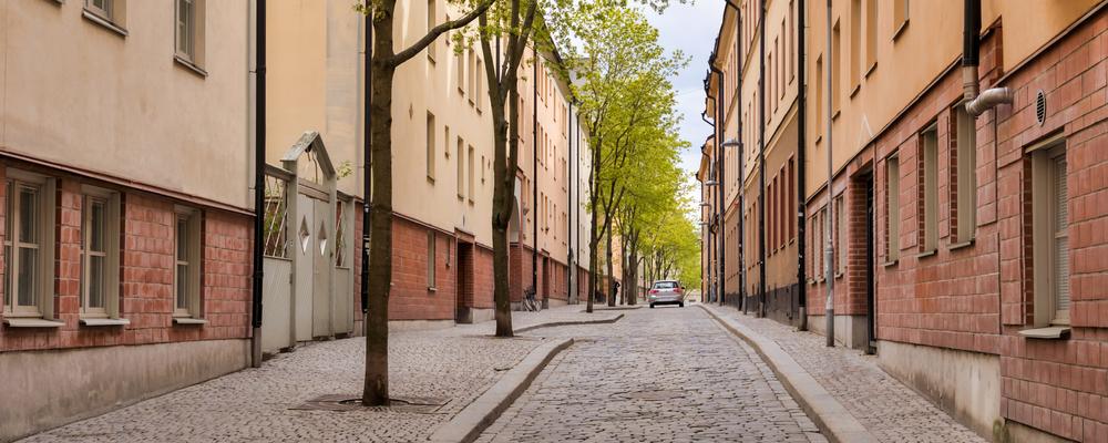 Trees planted on along a street.