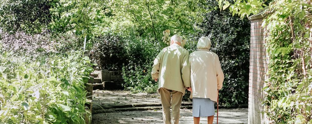 Older couple seen from behind, walking through a summer park.