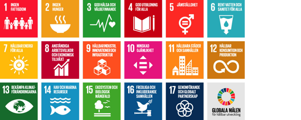 Agenda 2030:s globala mål vid CLI