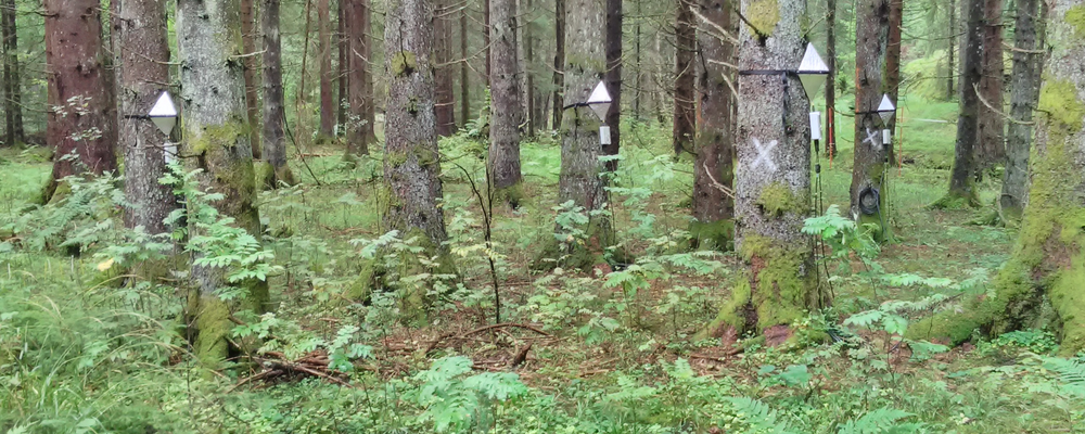 Skogaryd forskningsstation