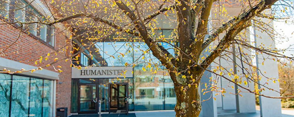 Ett träd med höstlöv framför entren på Humanisten