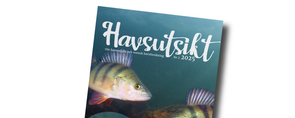 Omslag till tidskriften Havsutsikt.