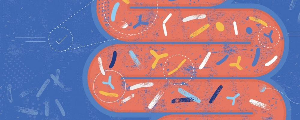 Genrebild på tarmen med bakterier