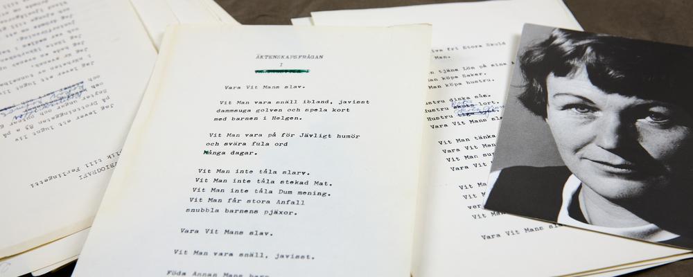 Sonja Åkesson kollage 