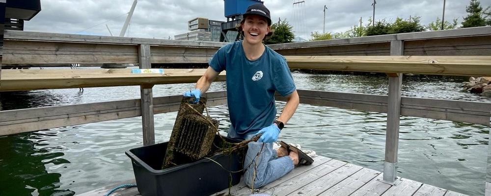 Modell av marin kolonilott