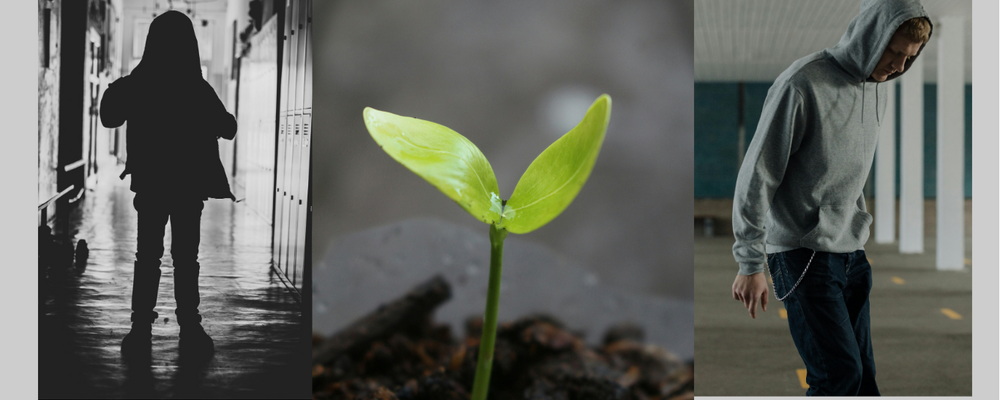 Collage: ung person i korridor, grönt skott i kruka, tonåring i garagemiljö