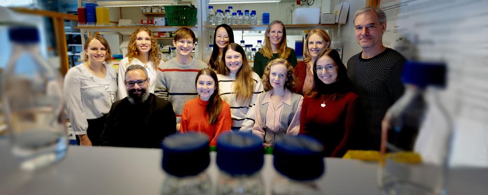 Grupp av forskare i laboratoriet