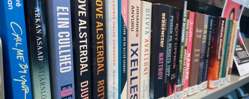 Bild på böcker i en bokhylla 