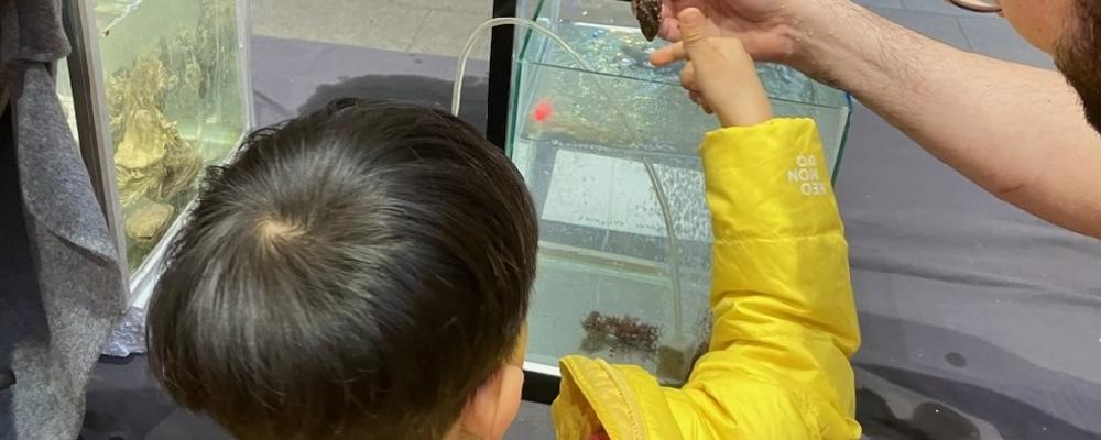 Nyfikna besökare på Vetenskapsfestivalen