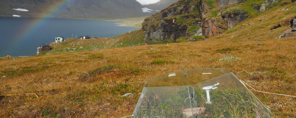 Bild på en fjällhed med små växthus i plexiglas