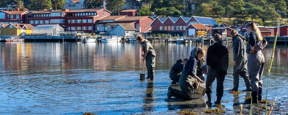 Tjärnö Marine Laboratory from the sea