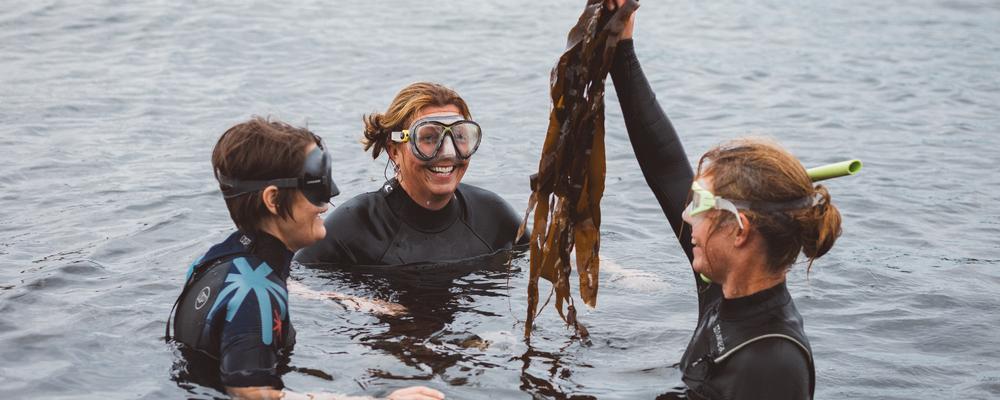 Personer i våtdräkt lyfter upp tång.