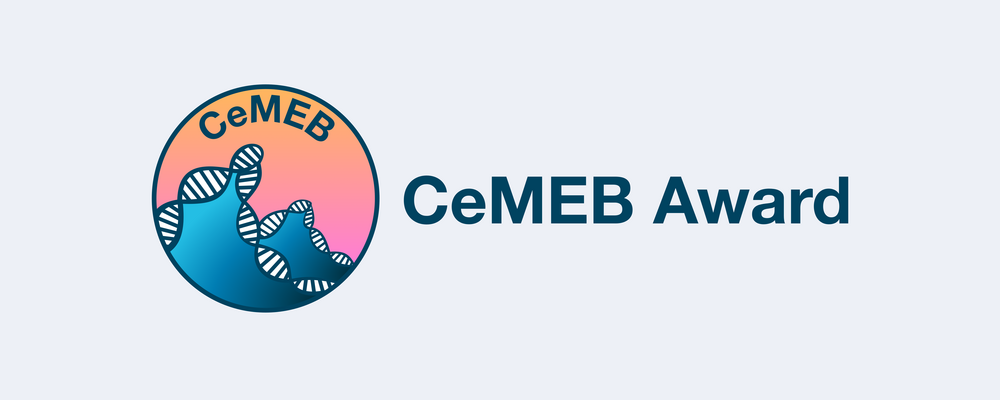 The CeMEB logo - ocean waves consisting of DNA helices