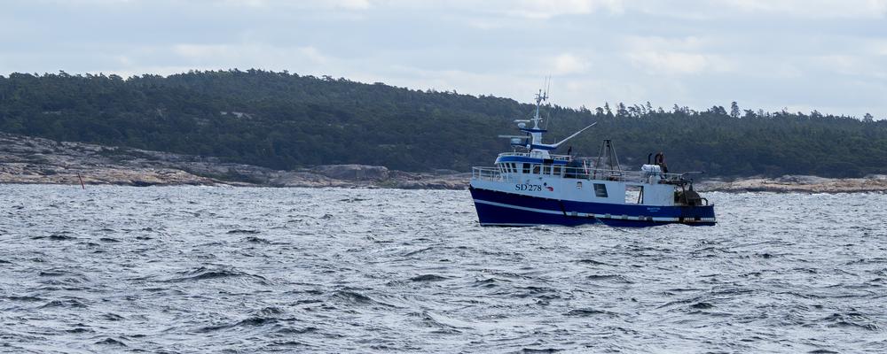 Båt på havet