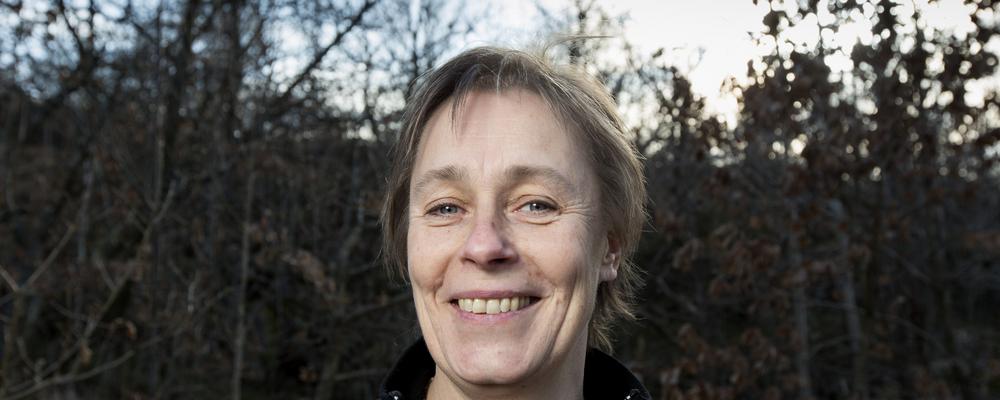 Professor Snuttan Sundell