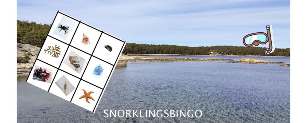 Bingobricka, snorkel och cyklop och hav