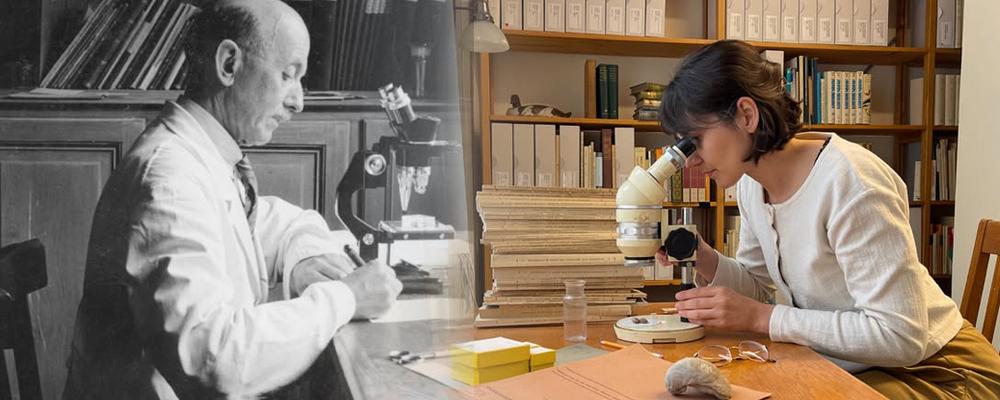 Photos of a male researcher and a female researcher both looking through microscopes