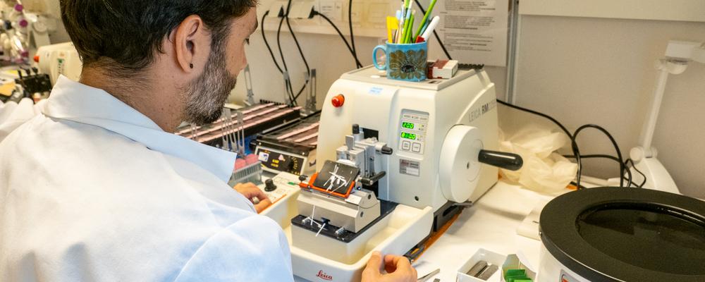 Scientists in a lab coat