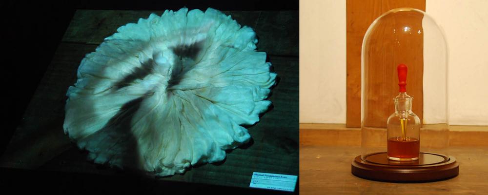 none